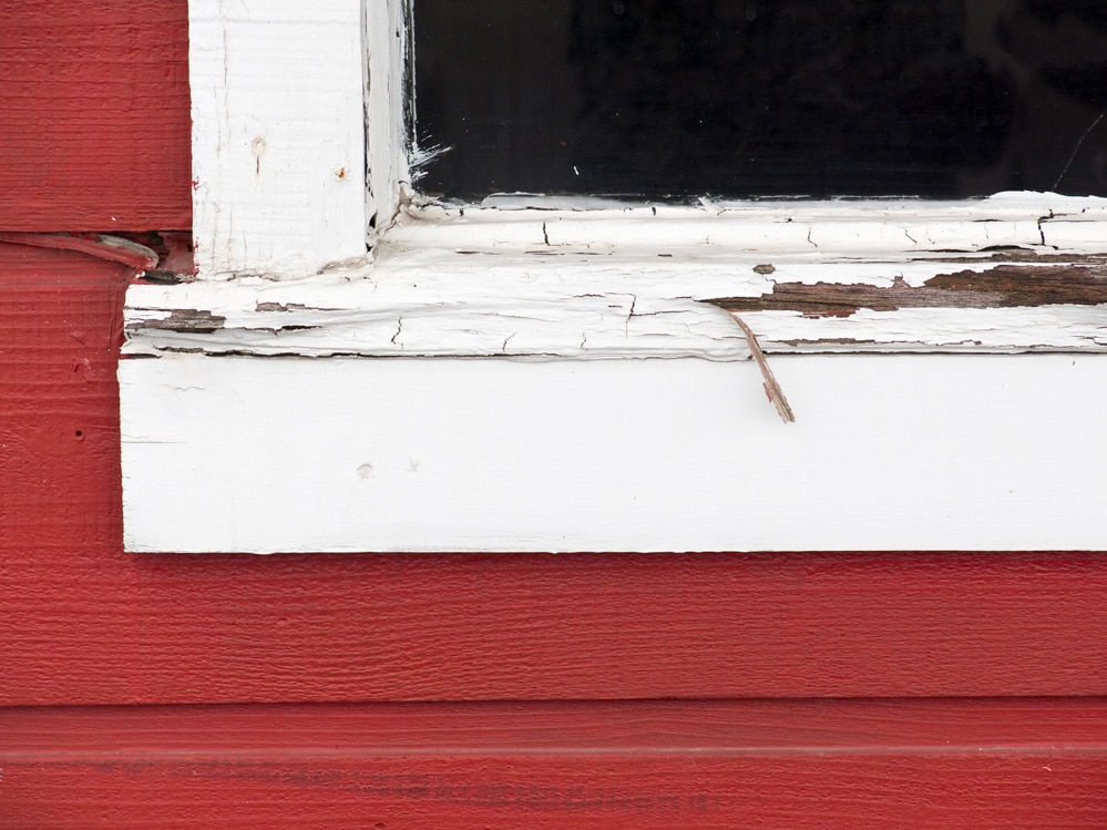 Termite damage to window still